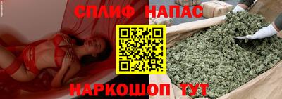 гидра Коммунар