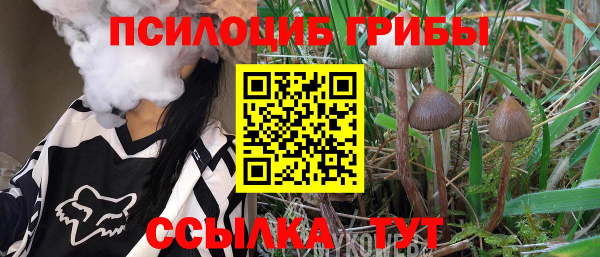 Азов  Псилоцибиновые грибы Psilocybine cubensis  Вход с VPN 