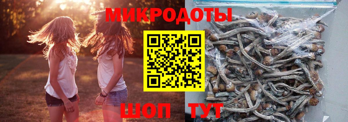 Галлюциногенные грибы мухоморы Азов